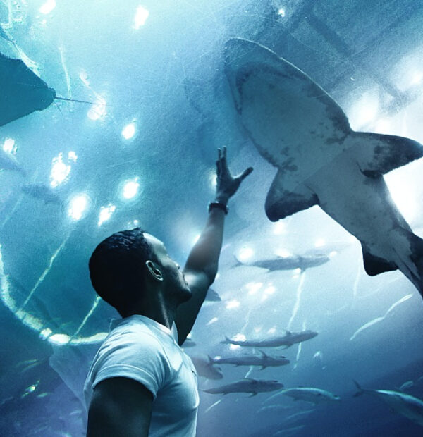 Dubai Mall Aquarium si Underwater Zoo