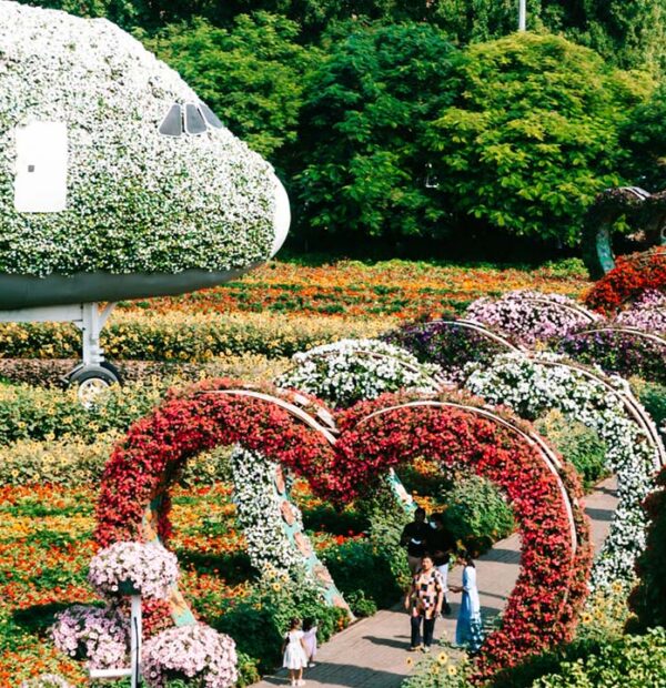 Miracle Garden