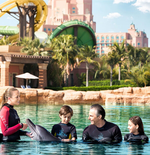 Atlantis Dolphin Encounter